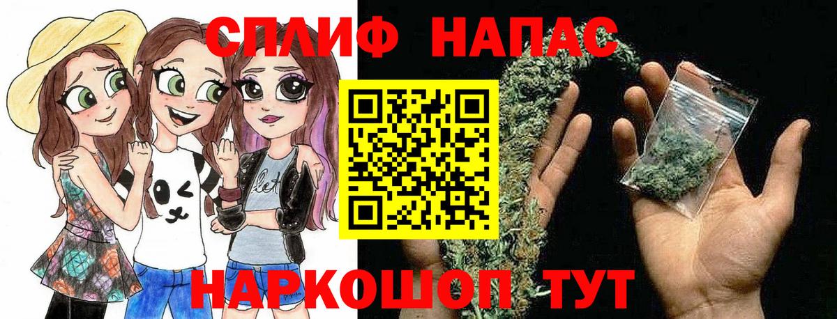 Бошки Шишки семена Избербаш